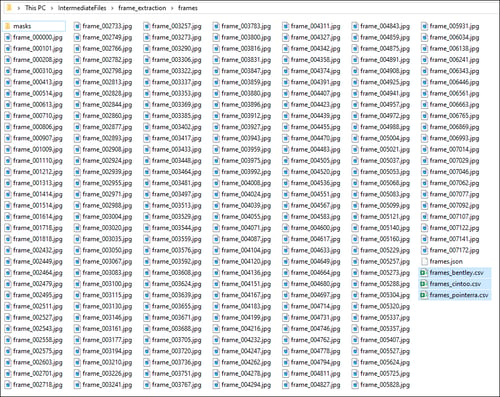 Colorization Output Folder